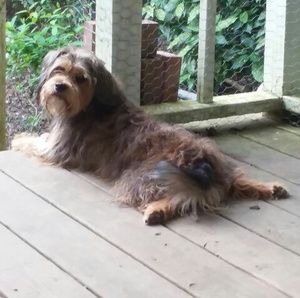 Meet your Posher, Scott